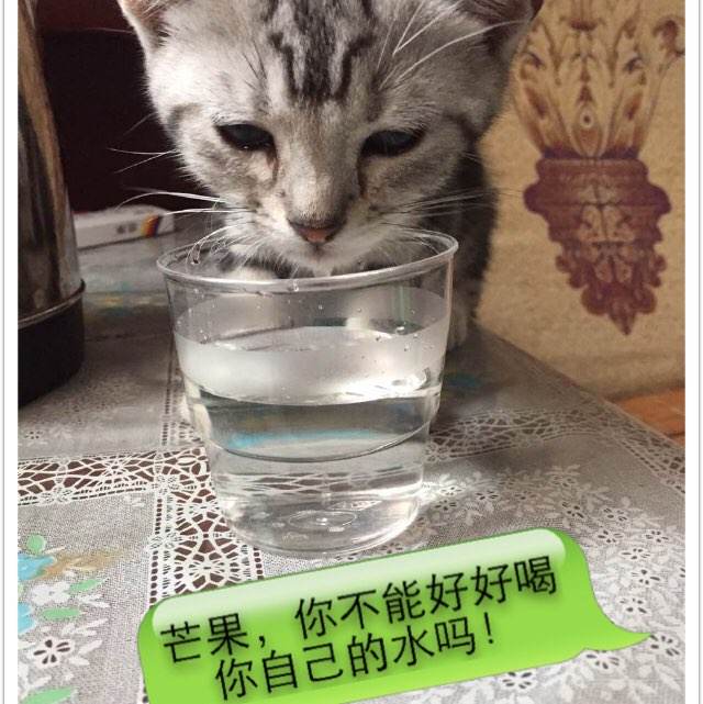 存款证明是什么样子的